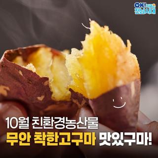 [전남소식] 10월 친환경농산물 무안 착한 고구마, 맛있구마!