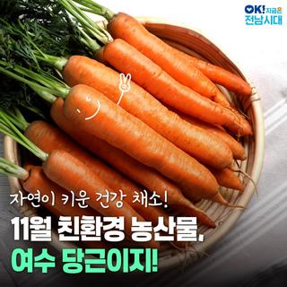 [전남소식] 자연이 키운 건강 채소! 11월 친환경 농산물, 여수 당근
