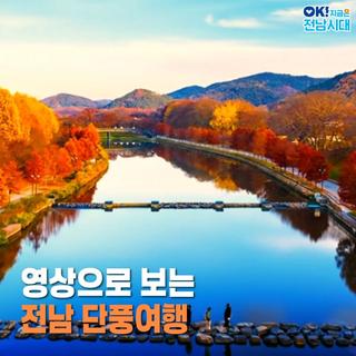 [전남여행] 영상으로 보는 전남 단풍여행(담양 관방제림, 해남 두륜산, 곡성 기차마을)