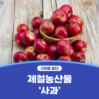 구미시 :: 제철농산물 먹거리 '사과'
