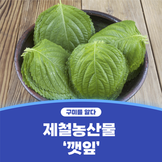 구미시 :: 제철농산물 먹거리 '깻잎'