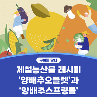 구미시 :: 제철 농산물 레시피 '양배추 오믈렛'과 '양배추 스프링롤'