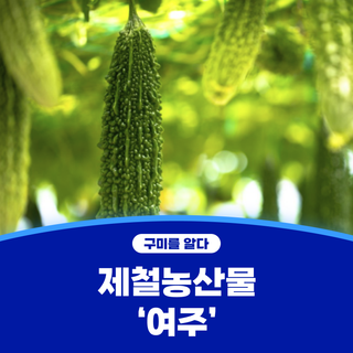 구미시 :: 제철 농산물 먹거리 '여주'