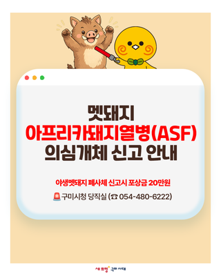 멧돼지 아프리카돼지열병(ASF) 의심개체 신고 안내