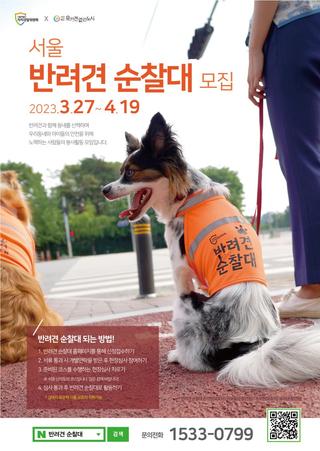 서울 반려견 순찰대 모집