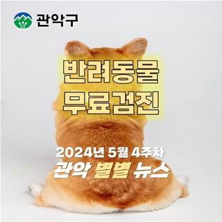 댕냥이들 무료검진! 낙성대동, 서림동, 청룡동 주민센터로 오세요!
