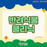 식물도 병원이 있다?[관악구 반려식물 클리닉]!