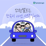안전벨트는 단속이 아닌 생존입니다.