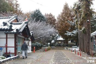 하얀 눈 내리면 송정공원과 용아생가에 가요