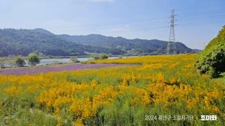 다채로운 가을꽃으로 물든 명품길, 황룡강 생태정원