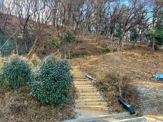 도심 속 힐링 명소 마동근린공원 둘레길을 걷다