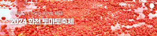 무더위 잊게 만드는 토마토 파티! 2024 화천 토마토축제 [강원특별자치도 축제]