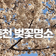 봄 피크닉은 여기서! 춘천 벚꽃명소[강원특별자치도 가볼만한곳]