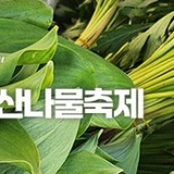 5월 가정의달 가볼만한곳! 제7회 강원n홍천 산나물축제! [강원특별자치도 축제]