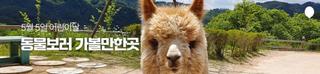 5월 5일 어린이날, 동물보러 가볼만한곳[강원특별자치도 가볼만한곳]