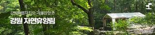 강원 숲캉스 자연휴양림 [강원특별자치도 가볼만한곳]