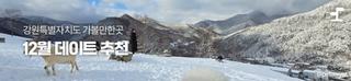 강원도 12월 데이트 추천 [강원도 가볼만한곳]