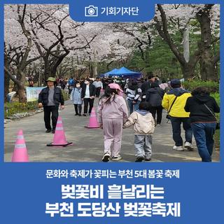 벚꽃비 흩날리는 부천 도당산 벚꽃축제