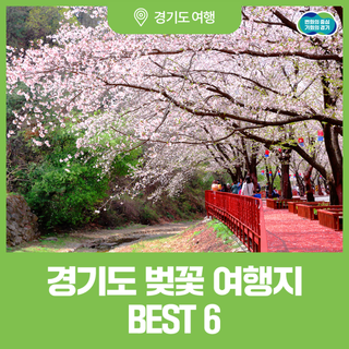 경기도에서 가장 아름다운 봄을 만나보세요! 경기도 벚꽃 여행지 BEST6