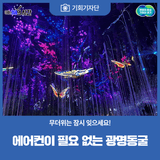 [기회기자단] 에어컨이 필요 없는 광명동굴에서 무더위는 잠시 잊으세요!