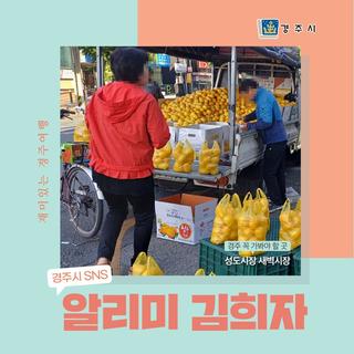 경주 가족여행(엄마와 함께)추천 성동시장 새벽시장_경주시 SNS 알리미 김희자