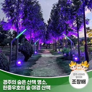 경주의 숨은 산책 명소, 한중우호의 숲 야경 산책 | 경주시 SNS 알리미 조창배