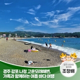 경주 감포 나정 고운모래해변, 가족과 함께하는 여름 바다 여행 | 경주시 SNS 알리미 조창배