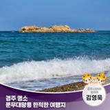 경주 명소 문무대왕릉 한적한 여행지 | 경주시 SNS 알리미 김영욱