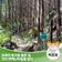 초록의 향기로 물든 길, 건천 편백나무숲을 걷다 | 경주시 SNS 알리미 박준영