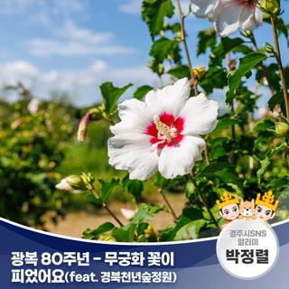 광복 80주년 - 무궁화 꽃이 피었어요(feat. 경북천년숲정원) | 경주시 SNS 알리미 박정렬