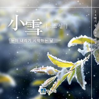 24절기 - 소설(小雪) : 눈이 내리기 시작하는 날