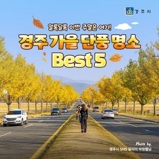 경주 가을 단풍 명소 BEST5