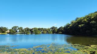 가을 풍경이 아름다운 경산 반곡지