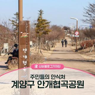 주민들의 안식처가 되는  계양구 안개협곡공원