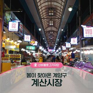 계산시장에서 만나는 봄