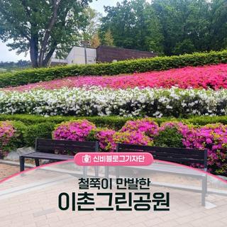 철쭉이 만발한 이촌근린공원!