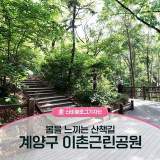 이촌근린공원에서 헬기장까지 봄을 느끼는 산책길