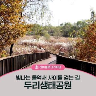 두리생태공원에서 빛나는 물억새 사이를 걸어보아요!