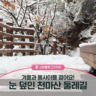 눈 덮인 천마산 둘레길에서 겨울과 봄 사이를 걸어요~!