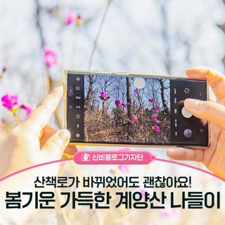 산책로가 바뀌었어도 괜찮아요, 봄기운 가득한 계양산 나들이