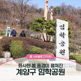 화사한 봄 풍경이 펼쳐진 계양구 임학공원