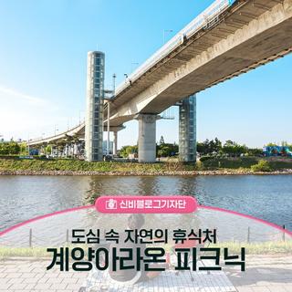 도심 속 자연의 휴식처 인천 계양아라온 피크닉