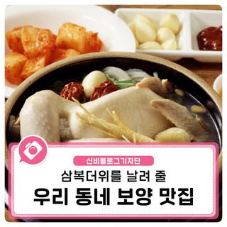 삼복더위를 날려 줄 우리 동네 보양 맛집