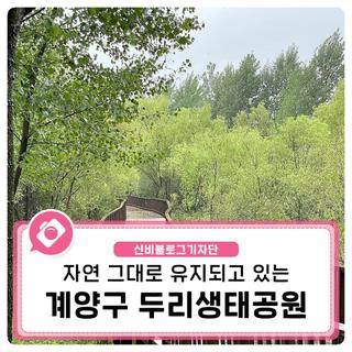 자연 그대로 유지되고 있는 계양구 두리생태공원