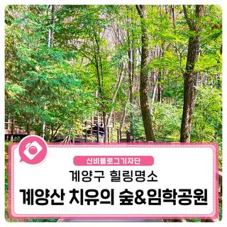 인천 계양구 여행 코스, 계양산 치유의 숲과 임학공원에서 힐링하는 하루