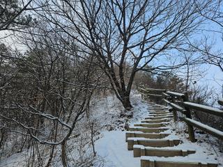 눈 내린 계양구 천마산, 설경 속 겨울 산행!