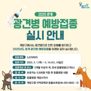 2025년 춘계 광견병 예방접종 실시 안내