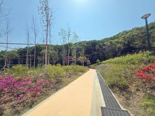 온 가족 나들이하기 좋은 효성동 새벌공원을 소개합니다!