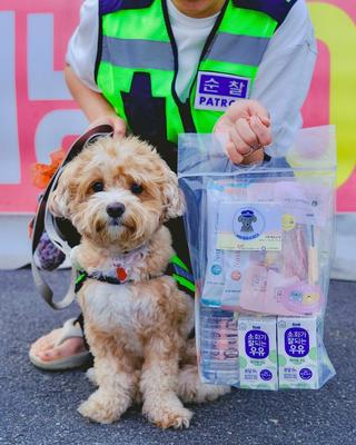 킁킁순찰대 첫 합동순찰!