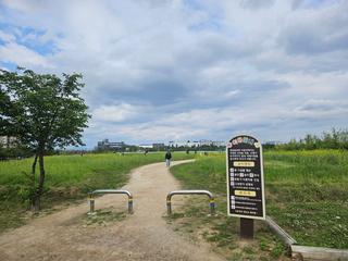 계양꽃마루로 유채꽃 구경가요